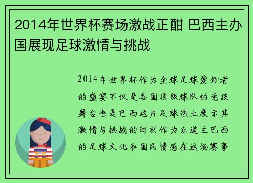 2014年世界杯赛场激战正酣 巴西主办国展现足球激情与挑战